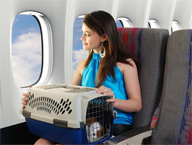 Pet Travel